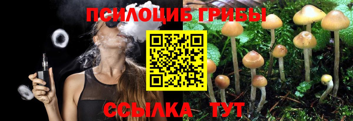 Галлюциногенные грибы Psilocybine cubensis  Вход с VPN  Алапаевск 